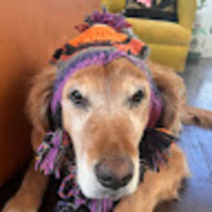 Meet your Posher, Charlotte 'charlie'